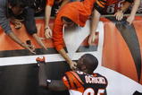 CINCINNATI - NOVEMBER 8: Chad Ochocinco #85 of the Cincinnati Bengals celebrates with his fans after defeating the Baltimore Ravens 17-7 at Paul Brown Stadium on November 8, 2009 in Cincinnati, Ohio.  (Photo by John Sommers II/Getty Images)