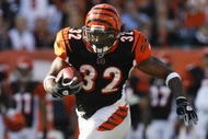 CINCINNATI - NOVEMBER 8: Cedric Benson #32 of the Cincinnati Bengals runs against the Baltimore Ravens at Paul Brown Stadium on November 8, 2009 in Cincinnati, Ohio.  (Photo by John Sommers II/Getty Images)