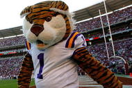 TUSCALOOSA, AL - NOVEMBER 07:  The mascot of the Louisiana State University Tigers cheers against the Alabama Crimson Tide at Bryant-Denny Stadium on November 7, 2009 in Tuscaloosa, Alabama.  (Photo by Kevin C. Cox/Getty Images)