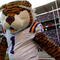 TUSCALOOSA, AL - NOVEMBER 07:  The mascot of the Louisiana State University Tigers cheers against the Alabama Crimson Tide at Bryant-Denny Stadium on November 7, 2009 in Tuscaloosa, Alabama.  (Photo by Kevin C. Cox/Getty Images)