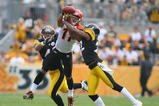 PITTSBURGH - NOVEMBER 15:  Troy Polamalu #43 and William Gay #22  of the Pittsburgh Steelers break up a pass intended for Laveranues Coles #11 of the Cincinnati Bengals  at Heinz Field on November 15, 2009 in Pittsburgh, Pennsylvania.  (Photo by Rick Stewart/Getty Images)