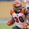 PITTSBURGH - NOVEMBER 15: Bernard Scott #28 of the Cincinnati Bengals runs against the Pittsburgh Steelers at Heinz Field on November 15, 2009 in Pittsburgh, Pennsylvania. The Bengals won 18-12. (Photo by Rick Stewart/Getty Images)