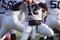 PENN STATE QUARTERBACK KERRY COLLINS LOOKS TO PASS.