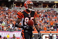 CINCINNATI - OCTOBER 25:  Chad Ochocinco #85 of the Cincinnati Bengals scores a touchdown during the NFL game against the Chicago Bears at Paul Brown Stadium on October 25, 2009 in Cincinnati, Ohio.  The Bengals won 45-10.  (Photo by Andy Lyons/Getty Images)