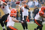 PITTSBURGH - NOVEMBER 15:  Carson Palmer #9 of the Cincinnati Bengals readies to throw a pass to Laveranues Coles #11 against the Pittsburgh Steelers at Heinz Field on November 15, 2009 in Pittsburgh, Pennsylvania. The Bengals won 18-12.  (Photo by Rick Stewart/Getty Images)