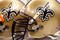 NEW ORLEANS - NOVEMBER 08:  Helmets of the New Orleans Saints at Louisiana Superdome on November 8, 2009 in New Orleans, Louisiana.  (Photo by Ronald Martinez/Getty Images)