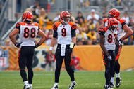 PITTSBURGH - NOVEMBER 15:  Quarterback Carson Palmer #9 of the Cincinnati Bengals looks on during their game against the Pittsburgh Steelers at Heinz Field on November 15, 2009 in Pittsburgh, Pennsylvania. The Bengals defeated the Steelers 18-12. (Photo by Rick Stewart/Getty Images)