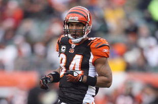 CINCINNATI - DECEMBER 14: T,J, Houshmandzadeh #84 of the Cincinnati Bengals moves on the field during the NFL game against the Washington Redskins on December 14, 2008 at Paul Brown Stadium in Cincinnati, Ohio. The Bengals won 20-13. (Photo by Andy Lyons/Getty Images)