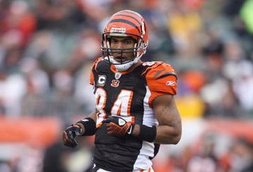 CINCINNATI - DECEMBER 14: T,J, Houshmandzadeh #84 of the Cincinnati Bengals moves on the field during the NFL game against the Washington Redskins on December 14, 2008 at Paul Brown Stadium in Cincinnati, Ohio. The Bengals won 20-13. (Photo by Andy Lyons/Getty Images)