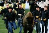 BOULDER, CO - OCTOBER 17: The Colorado Buffaloes mascot Ralphie runs onto the field prior to the game against the Kansas Jayhawks at Folsom Field on October 17, 2009 in Boulder, Colorado. (Photo by Garrett W. Ellwood/Getty Images)