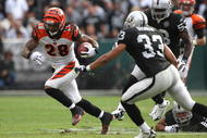 OAKLAND, CA - NOVEMBER 22: Bernard Scott #28 of the Cincinnati Bengals runs against Tyvon Branch #33 of the Oakland Raiders during an NFL game at Oakland-Alameda County Coliseum on November 22, 2009 in Oakland, California.  (Photo by Jed Jacobsohn/Getty Images)