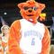 CHARLOTTE, NC - NOVEMBER 6: Mascot Rufus of the Charlotte Bobcats on the court before the game against the Atlanta Hawks on November 6, 2009 at Time Warner Cable Arena in Charlotte, North Carolina. The Bobcats won 103-83. NOTE TO USER: User expressly acknowledges and agrees that, by downloading and/or using this Photograph, user is consenting to the terms and conditions of the Getty Images License Agreement. (Photo by Streeter Lecka/Getty Images)
