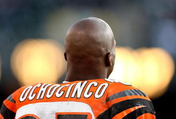 OAKLAND, CA - NOVEMBER 22:  Chad Ochocinco #85 of the Cincinnati Bengals looks against the Oakland Raiders during an NFL game at Oakland-Alameda County Coliseum on November 22, 2009 in Oakland, California.  (Photo by Jed Jacobsohn/Getty Images)