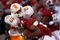 TUSCALOOSA, AL - OCTOBER 24:  Marquis Maze #4 of the Alabama Crimson Tide pulls in this reception against Janzen Jackson #15 of the Tennessee Volunteers at Bryant-Denny Stadium on October 24, 2009 in Tuscaloosa, Alabama.  (Photo by Kevin C. Cox/Getty Images)