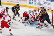 BUFFALO, NY - NOVEMBER 28: Michael Leighton #49  of the Carolina Hurricanes makes a pad save on a shot by Thomas Vanek #26 of the Buffalo Sabres  at HSBC Arena  on November 28, 2009 in Buffalo, New York.  (Photo by Rick Stewart/Getty Images)