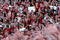 TUSCALOOSA, AL - NOVEMBER 07:  Fans of the Alabama Crimson Tide cheer against the Louisiana State University Tigers at Bryant-Denny Stadium on November 7, 2009 in Tuscaloosa, Alabama.  (Photo by Kevin C. Cox/Getty Images)