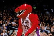 16 Nov 2000:  The Toronto Raptors mascot rides a scooter down the sidelines during the game against the Portland Trail Blazers at the Air Canada Center in Toronto, Canada. The Blazers defeated the Raptors 86-80. NOTE TO USER: It is expressly understood that the only rights Allsport are offering to license in this Photograph are one-time, non-exclusive editorial rights. No advertising or commercial uses of any kind may be made of Allsport photos. User acknowledges that it is aware that Allsport is an editorial sports agency and that NO RELEASES OF ANY TYPE ARE OBTAINED from the subjects contained in the photographs.Mandatory Credit: Robert Skeoch  /Allsport
