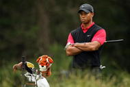 FARMINGDALE, NY - JUNE 22:  Tiger Woods looks on from the 14th tee during the continuation of the final round of the 109th U.S. Open on the Black Course at Bethpage State Park on June 22, 2009 in Farmingdale, New York.  (Photo by Ross Kinnaird/Getty Images)