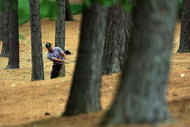 CHARLOTTE, NC - MAY 01:  Tiger Woods hits a shot from the pine needles on the first hole during the second round of the Quail Hollow Championship at the Quail Hollow Club on May 1, 2009 in Charlotte, North Carolina.  (Photo by Scott Halleran/Getty Images)