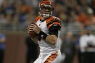 DETROIT - DECEMBER 18:   Carson Palmer #9 of the Cincinnati Bengals drops back before throwing a  touchdown against the Detroit Lions during a NFL game at Ford Field on December 18, 2005 in Detroit, Michigan.  The Bengals won the game, 41-17, clinching the AFC North Championship.  (Photo by Tom Pidgeon/Getty Images)