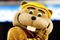 GREENSBORO, NC - MARCH 19:  The mascot of the Minnesota Golden Gophers cheers on his team against the Texas Longhorns during the first round of the NCAA Division I Men's Basketball Tournament at the Greensboro Coliseum on March 19, 2009 in Greensboro, North Carolina.  (Photo by Streeter Lecka/Getty Images)
