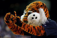 ATLANTA - MARCH 10: Aubie, the mascot for the Auburn Tigers cheers during a time out in the first round of the SEC Men's Basketball Tournament against the Vanderbilt Commodores at the Georgia Dome on March 10, 2005 in Atlanta, Georgia. (Photo by Streeter Lecka/Getty Images)