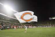 CHICAGO - AUGUST 25: A cheerleader of the Chicago Bears waves a Bears flag during the game against the San Francisco 49ers on August 25, 2007 at Soldier Field in Chicago, Illinois. (Photo by Jonathan Daniel/Getty Images)
