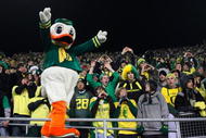 EUGENE,OR - DECEMBER 03:  Oregon Ducks mascot Puddles cheers after his team's 33-37 victory over the Oregon State Beavers after the game at Autzen Stadium on December 3, 2009 in Eugene, Oregon.  (Photo by Tom Hauck/Getty Images)