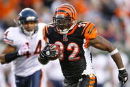 CINCINNATI - OCTOBER 25:  Cedric Benson #32 of the Cincinnati Bengals runs with the ball during the NFL game against the Chicago Bears at Paul Brown Stadium on October 25, 2009 in Cincinnati, Ohio.  The Bengals won 45-10.  (Photo by Andy Lyons/Getty Images)