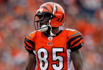 CINCINNATI - NOVEMBER 29:  Chad Ochocinco #85 of the Cincinnati Bengals looks on during the NFL game against the Cleveland Browns at Paul Brown Stadium on November 29, 2009 in Cincinnati, Ohio.  (Photo by Andy Lyons/Getty Images)