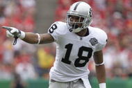 KANSAS CITY, MO - SEPTEMBER 20:  Louis Murphy #18 of the Oakland Raiders lines up for a play during the game against the Kansas City Chiefs at Arrowhead Stadium on September 20, 2009 in Kansas City, Missouri. (Photo by Jamie Squire/Getty Images)