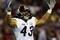 TAMPA, FL - FEBRUARY 01:  Troy Polamalu #43 of the Pittsburgh Steelers gestures on the field against the Arizona Cardinals during Super Bowl XLIII on February 1, 2009 at Raymond James Stadium in Tampa, Florida.  (Photo by Jamie Squire/Getty Images)