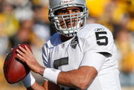 PITTSBURGH - DECEMBER 06:  Bruce Gradkowski #5 of the Oakland Raiders throws a pass against the Pittsburgh Steelers during the game on December 6, 2009 at Heinz Field in Pittsburgh, Pennsylvania.  (Photo by Jared Wickerham/Getty Images)