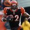 CINCINNATI, OH - DECEMBER 6: Cedric Benson #32 of the Cincinnati Bengals runs against the Detroit Lions in their NFL game at Paul Brown Stadium December 6, 2009 in Cincinnati, Ohio.    (Photo by John Sommers II/Getty Images)