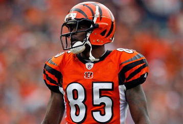 CINCINNATI - NOVEMBER 29:  Chad Ochocinco #85 of the Cincinnati Bengals looks on during the NFL game against the Cleveland Browns at Paul Brown Stadium on November 29, 2009 in Cincinnati, Ohio.  (Photo by Andy Lyons/Getty Images)