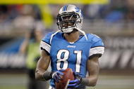 DETROIT , MI - NOVEMBER 26: Calvin Johnson #81 of the Detroit Lions looks on during the game against the Green Bay Packers on November 26, 2009 at Ford Field in Detroit, Michigan. Green Bay won the game 34-12. (Photo by Gregory Shamus/Getty Images)