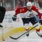 NEWARK, NJ - DECEMBER 11:  Nathan Horton #16 of the Florida Panthers skates against the New Jersey Devils at the Prudential Center on December 11, 2009 in Newark, New Jersey.  (Photo by Bruce Bennett/Getty Images)