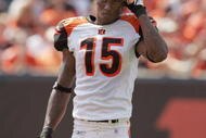 CINCINNATI - SEPTEMBER 17:  Wide receiver Chris Henry #15 of the Cincinnati Bengals stands on the field during the NFL game against the Cleveland Browns on September 17, 2006 at Paul Brown Stadium in Cincinnati, Ohio. The Bengals won 34-17. (Photo by Andy Lyons/Getty Images)