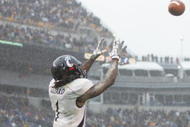 PITTSBURGH - DECEMBER 05: Mardy Gilyard #1 of the Cincinnati Bearcats catches a two point conversion against the University of Pittsburgh Panthers on December 5, 2009 at Heinz Field in Pittsburgh, Pennsylvania. (Photo by Jared Wickerham/Getty Images)