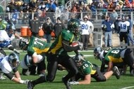 Joiquebell_crop_190x127