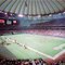 Kingdome_crop_60x60