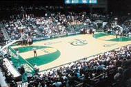 Halton_arena_crop_190x127