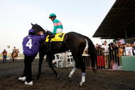 ARCADIA, CA - NOVEMBER 07:  Jockey Mike Smith rides Zenyatta out to the track before the Breeders' Cup Classic race during the Breeders' Cup World Championships at Santa Anita Park November 7, 2009 in Arcadia, California.  (Photo by Harry How/Getty Images)