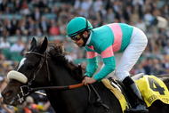 ARCADIA, CA - NOVEMBER 07:  Winner Mike Smith rides Zenyatta races in the Breeders' Cup Classic race during the Breeders' Cup World Championships at Santa Anita Park November 7, 2009 in Arcadia, California.  (Photo by Harry How/Getty Images)