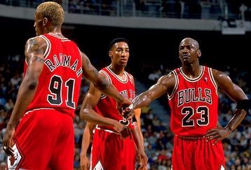 Bulls_feature