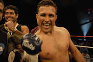 Gracie2_crop_190x127