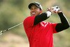 Algtigerwoodsoriginaloriginal_crop_100x68