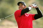Algtigerwoodsoriginaloriginal_crop_150x100