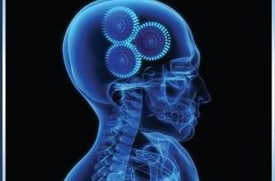 Baseballplayerbrainmechanics_crop_310x205