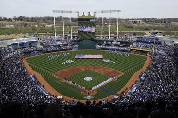 Kauffman_display_image